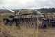 AMX 30