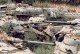 EBR