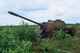 T-55