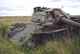T-55