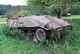 Hotchkiss