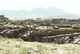 T-54 & T-55