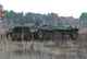Lehnin