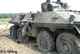 Luchs