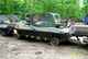 Gepard