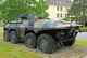 Luchs