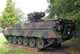 Marder